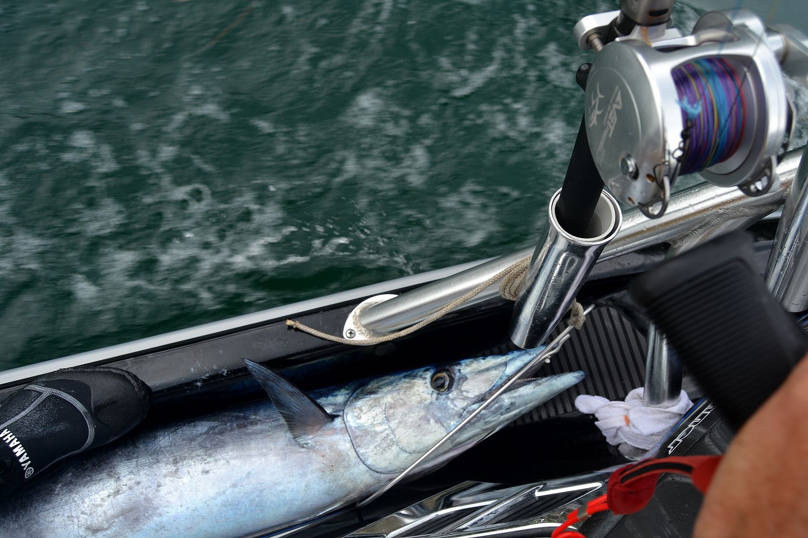 Wahoo!! Jet Ski Fishing In Bahamas! Main Forum SurfTalk